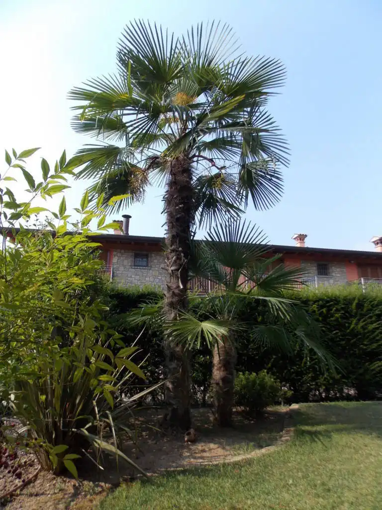 3-locali-con-giardino-in-vendita-a-Roncello-22