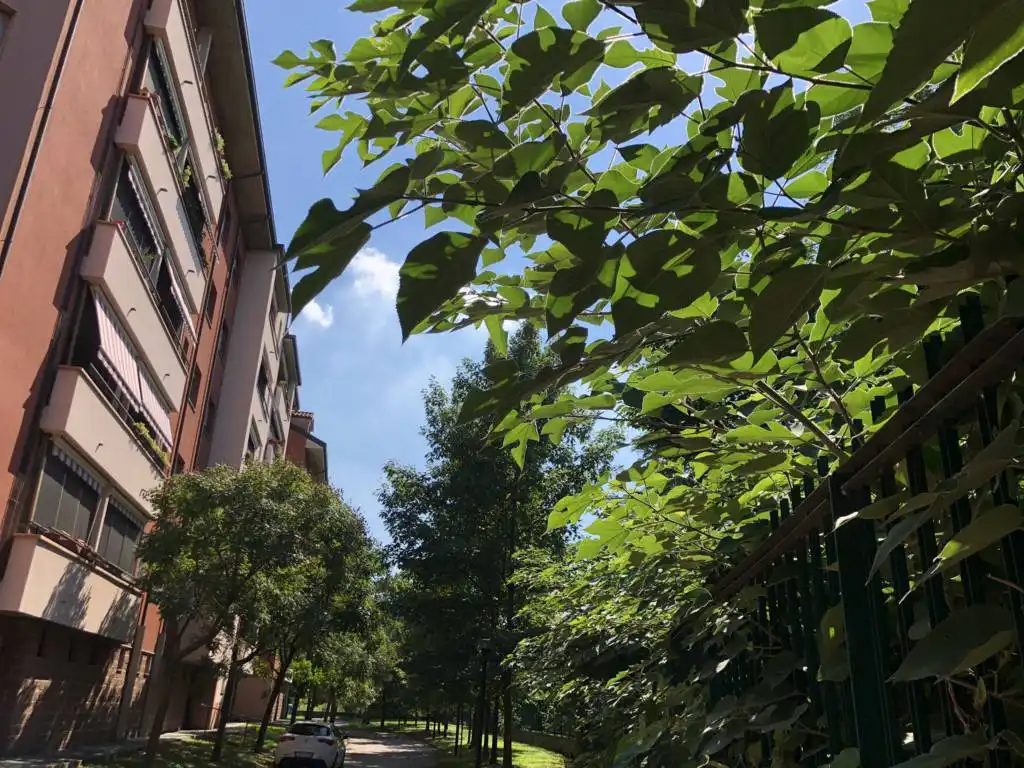 Appartamento-in-vendita-a-San-Giuliano-Milanese-26