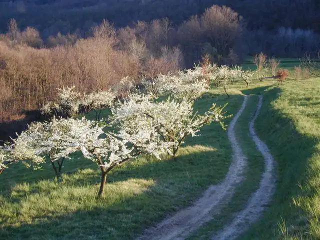 Bio-agriturismo-in-vendita-a-La-Valletta-Brianza-13