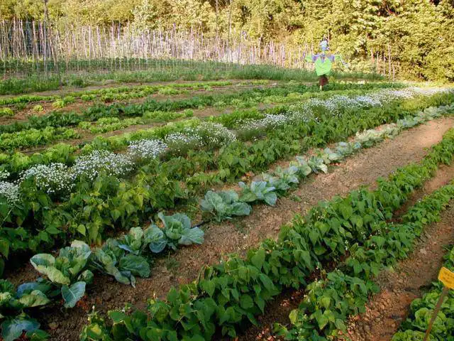 Bio-agriturismo-in-vendita-a-La-Valletta-Brianza-18