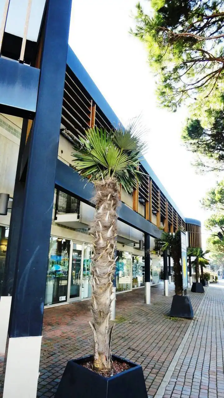 Case-in-vendita-a-Jesolo-7