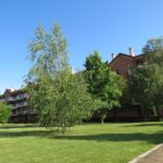 Ascensore - Vendita Trilocale via Luciano Manara 41 San Giuliano Milanese - Milano - 3
