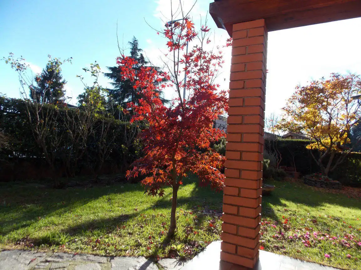 Villa-a-San-Giuliano-Milanese-in-Sesto-Ulteriano-13