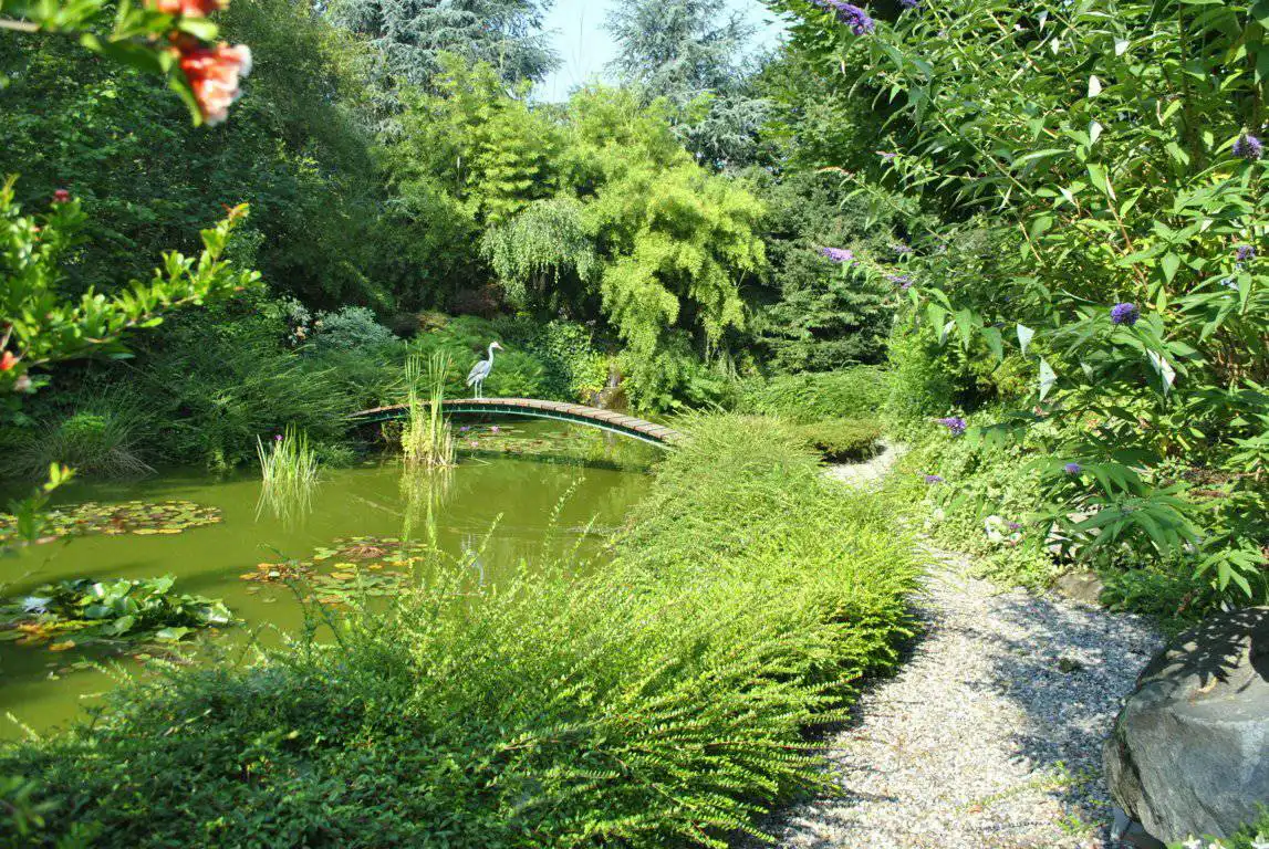 Villa-di-lusso-in-vendita-a-Casatenovo-in-Brianza-43