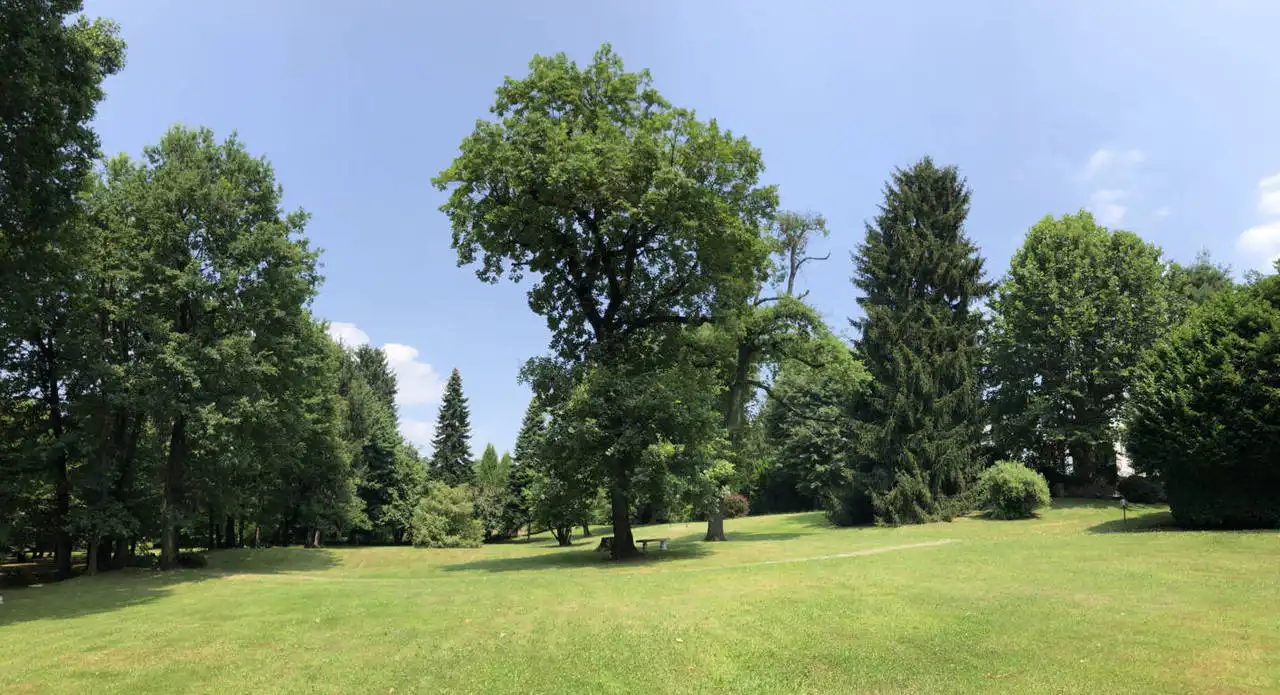 Villa-in-vendita-a-Fino-Mornasco-Como-11