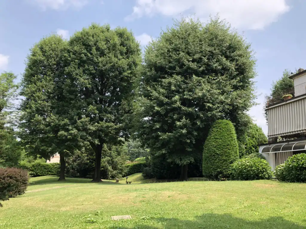 Villa-in-vendita-a-Fino-Mornasco-Como-26