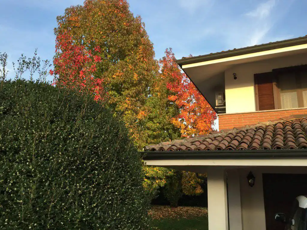 Villa-singola-in-vendita-a-Garlasco-Pavia-18