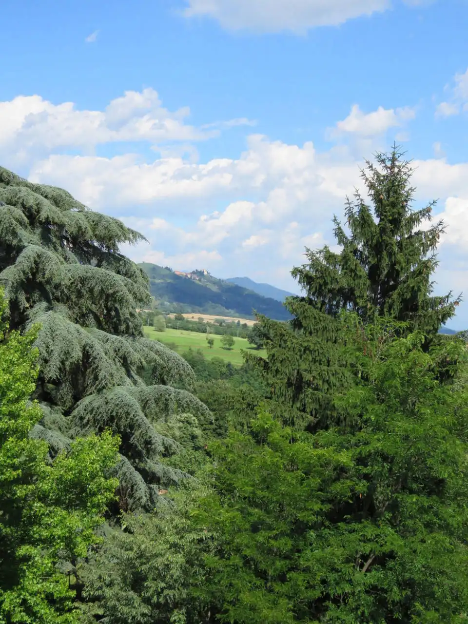 Villa-storica-di-lusso-in-vendita-in-Brianza-a-Casatenovo-22