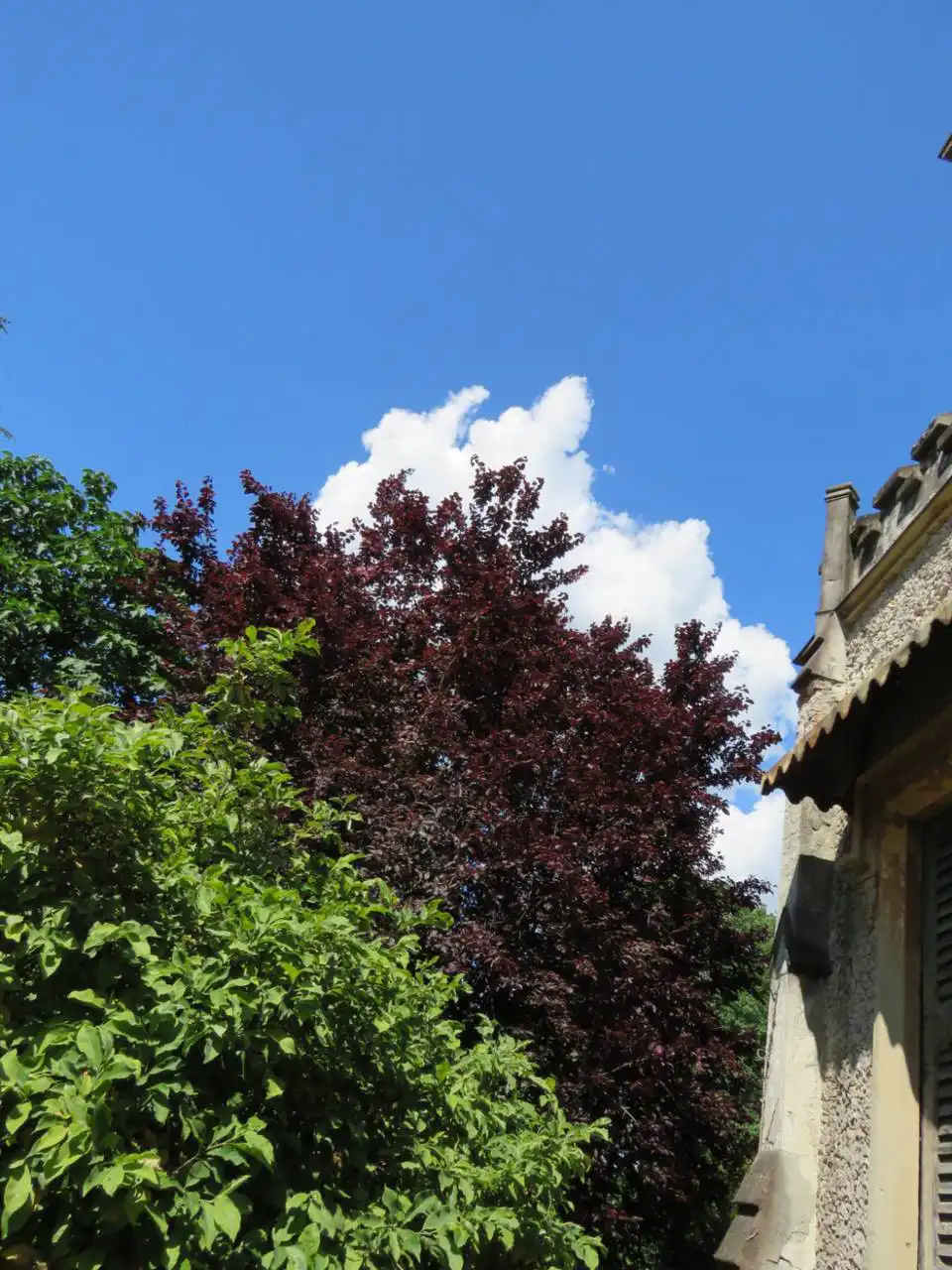 Villa-storica-di-lusso-in-vendita-in-Brianza-a-Casatenovo-45