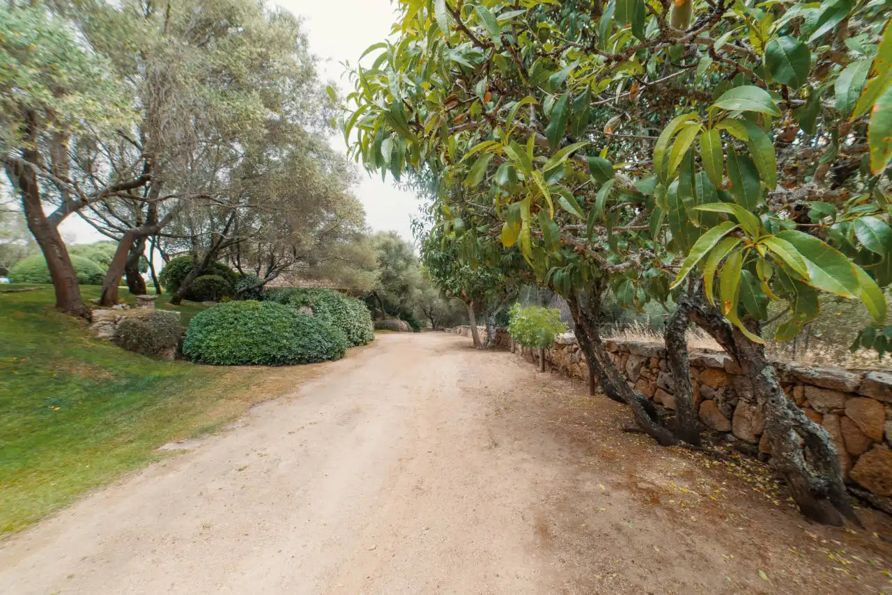 case-in-vendita-Sardegna