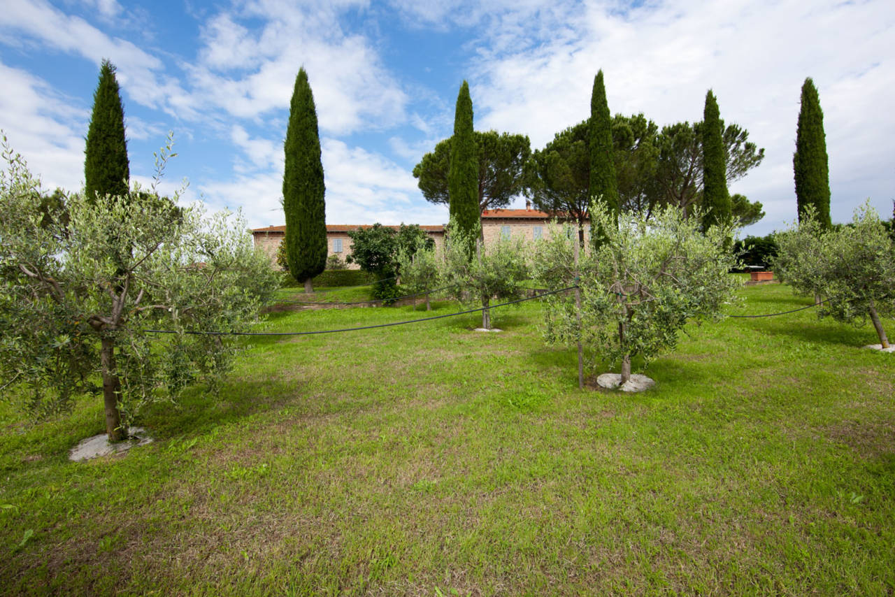 Casale in Toscana Val di Chiana in vendita (20)