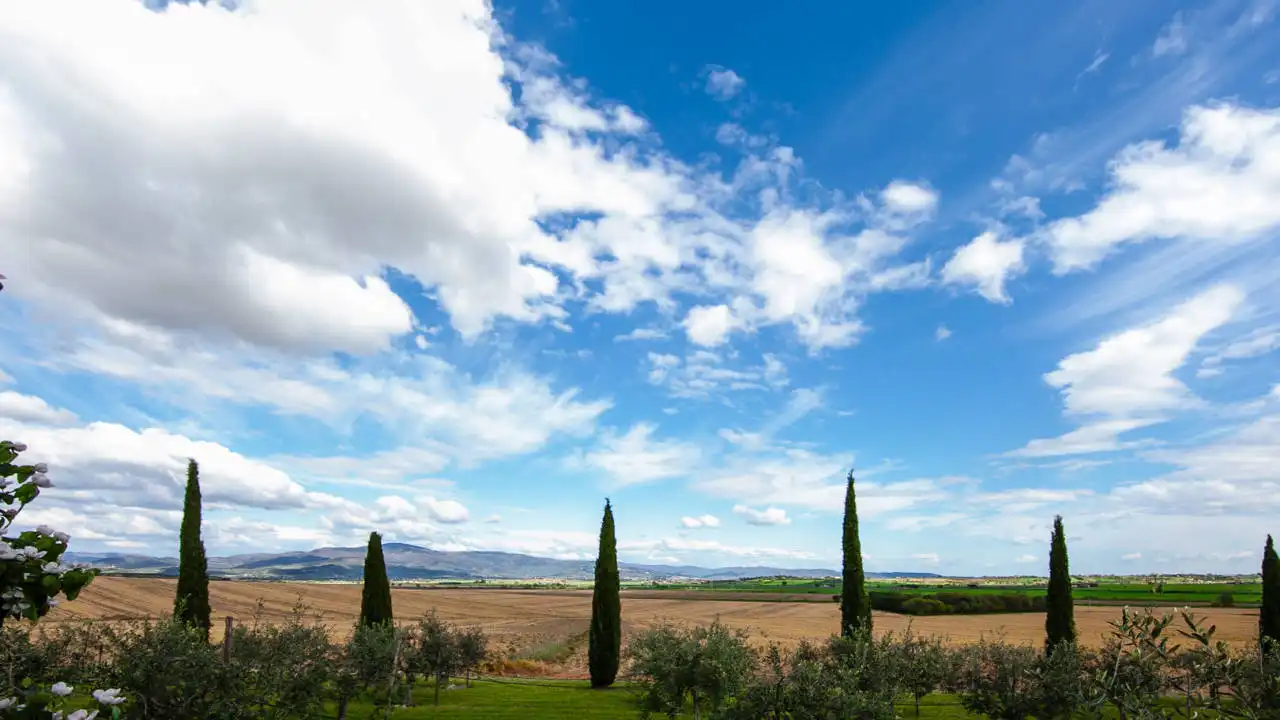 Casale in Toscana Val di Chiana in vendita (21)
