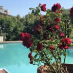 villa con piscina in vendita a Rozzano