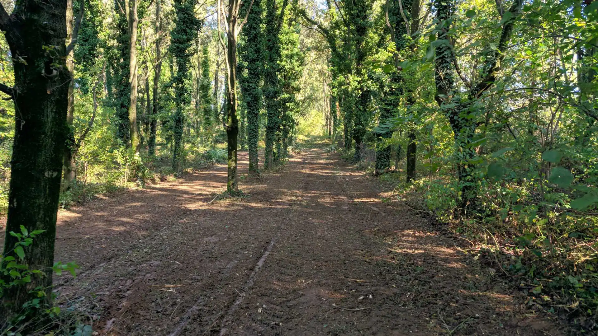 Casatenovo-villa-con-parco-in-vendita (39)