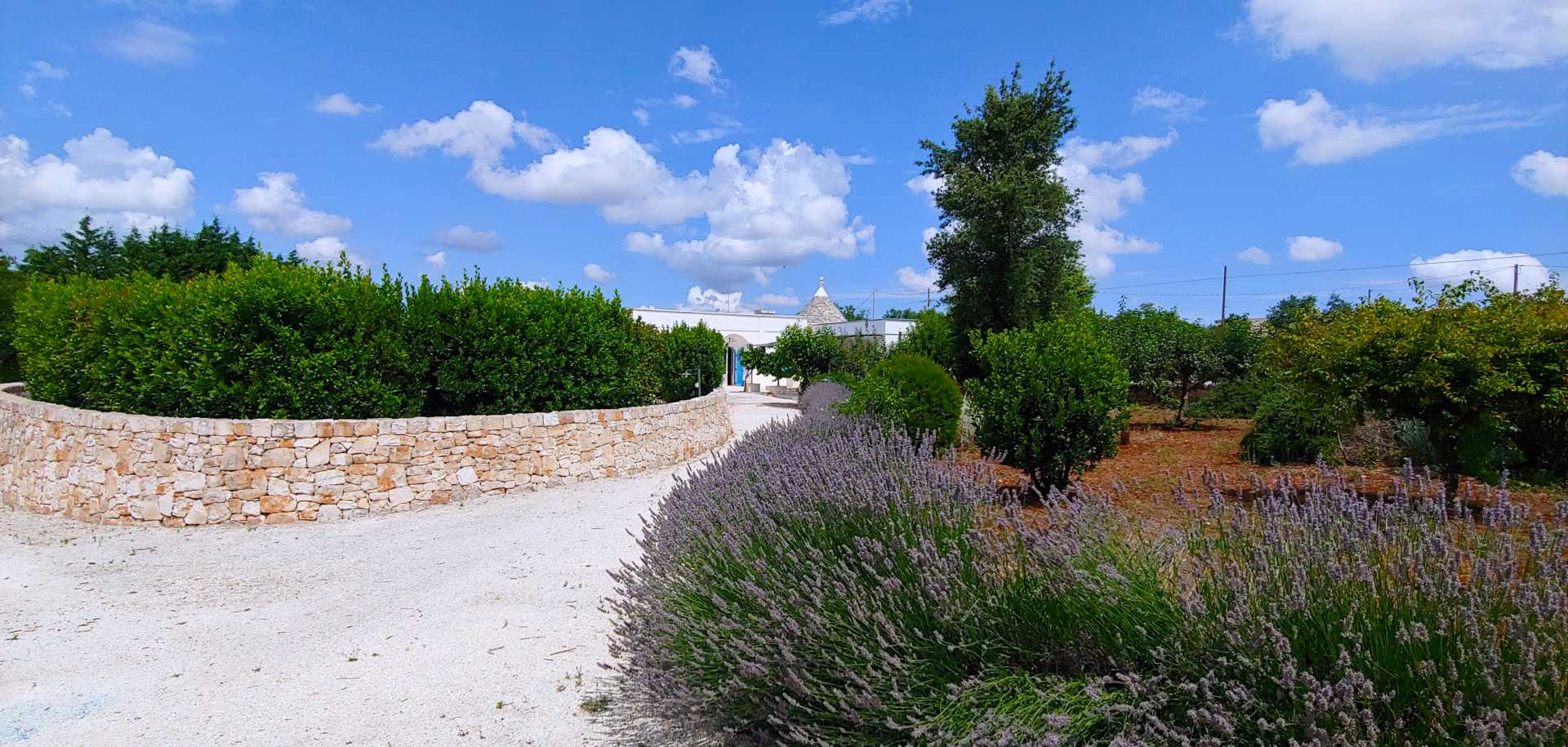 Puglia-vendita-Villa-con-Trullo-e-piscina (1)