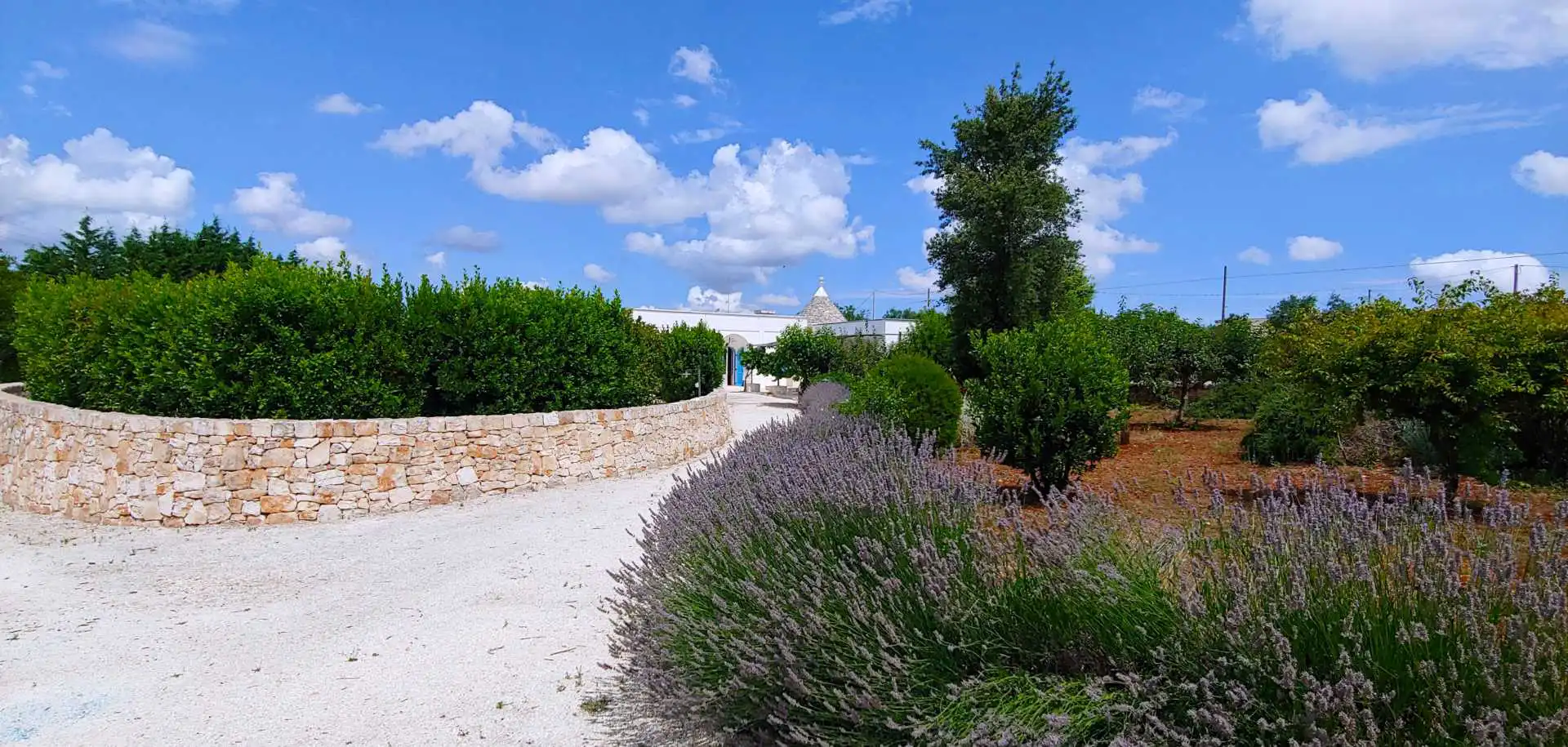 Puglia-vendita-Villa-con-Trullo-e-piscina (1)