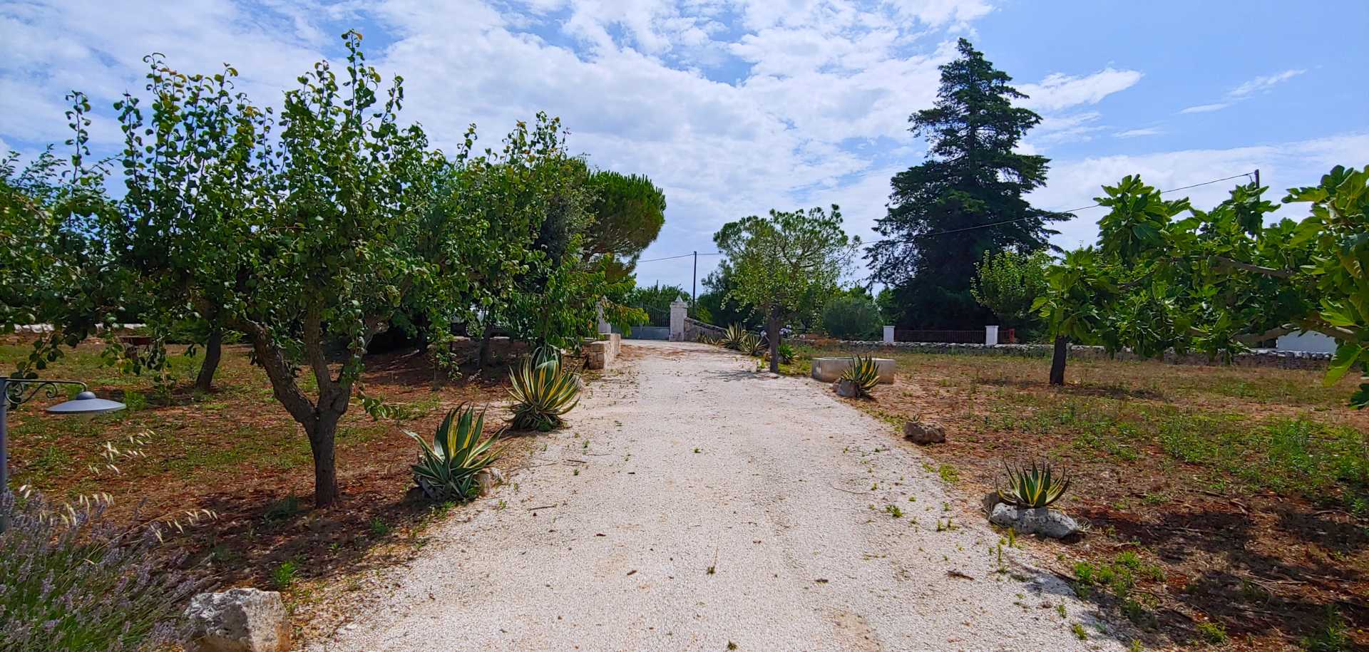 Puglia-vendita-Villa-con-Trullo-e-piscina (21)