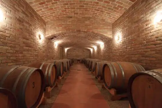 Azienda-vitivinicola-in-vendita-Asti (22)