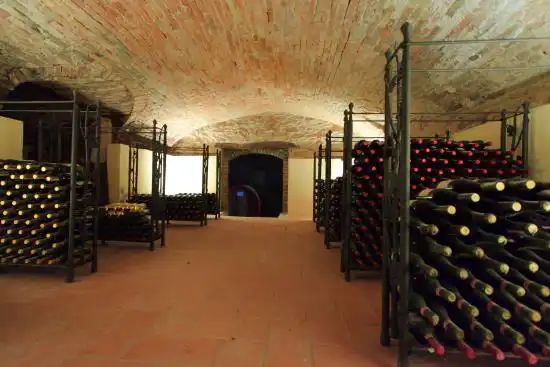 Azienda-vitivinicola-in-vendita-Asti (23)