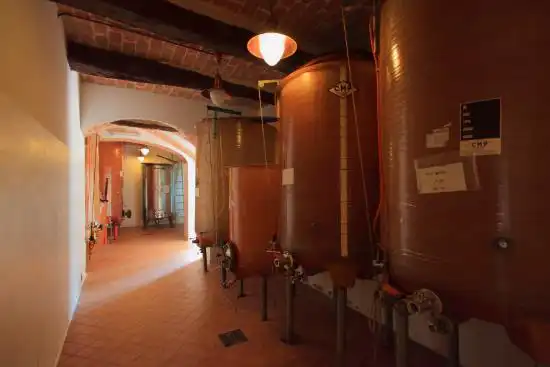 Azienda-vitivinicola-in-vendita-Asti (34)