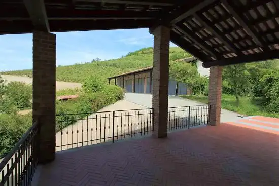 Azienda-vitivinicola-in-vendita-Asti (36)