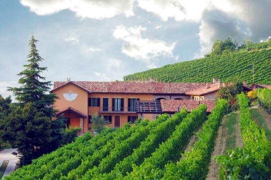 Azienda-vitivinicola-in-vendita-Asti (51)