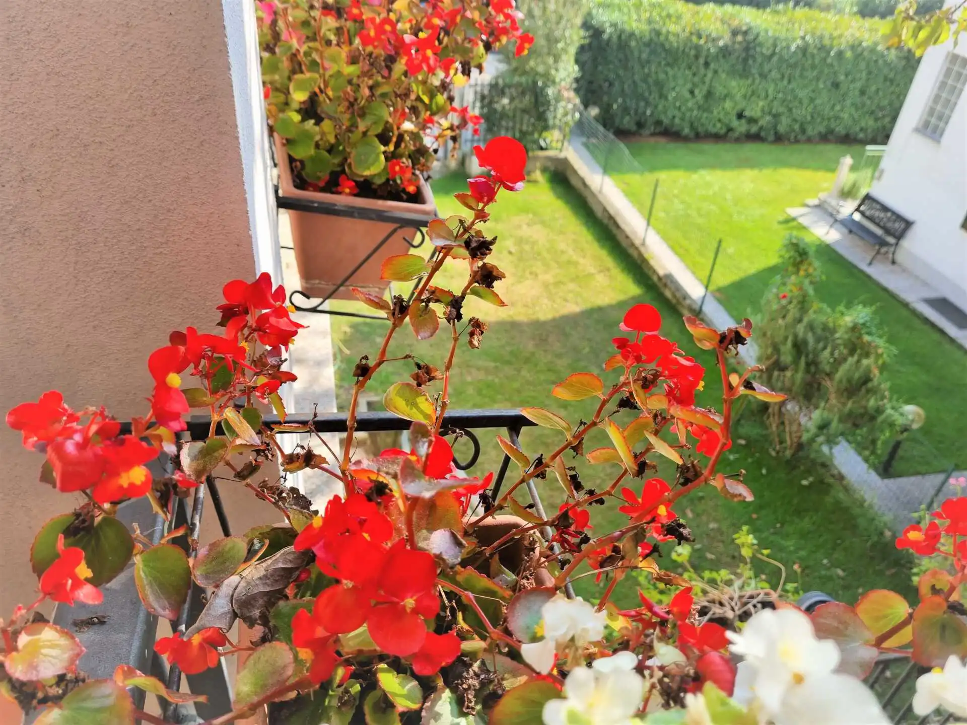 appartamento-con-giardino-in-vendita-a-usmate (23)