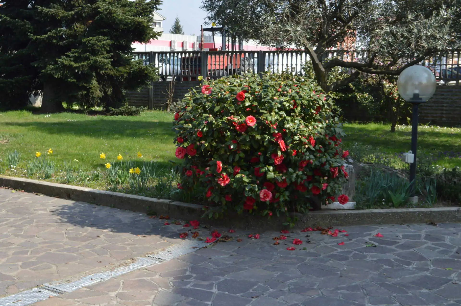 villa-singola-con-giardino-in-vendita-a-bellusco-casa&style-immobiliare-milano-e-brianza (3)