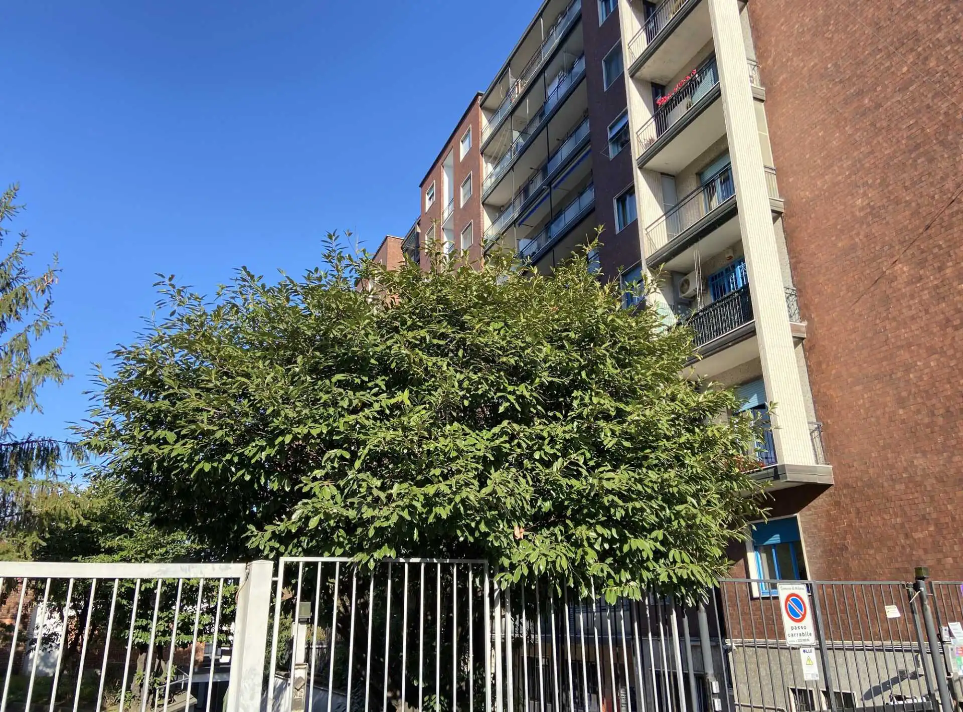 Appartamento 2 locali in vendita Milano Città Studi (15)