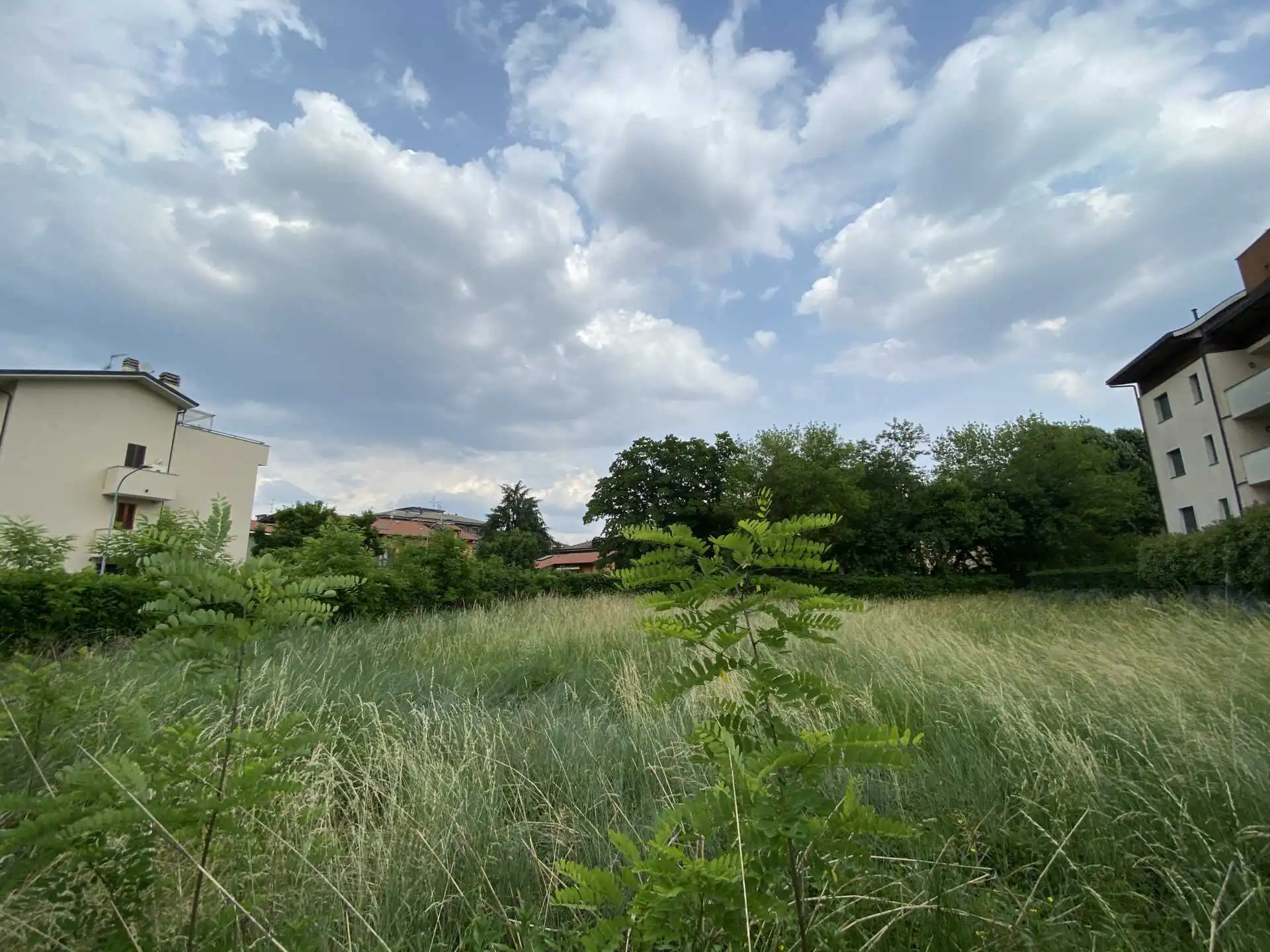 Terreno edificabile in vendita in Brianza a Cornate d'Adda (2)