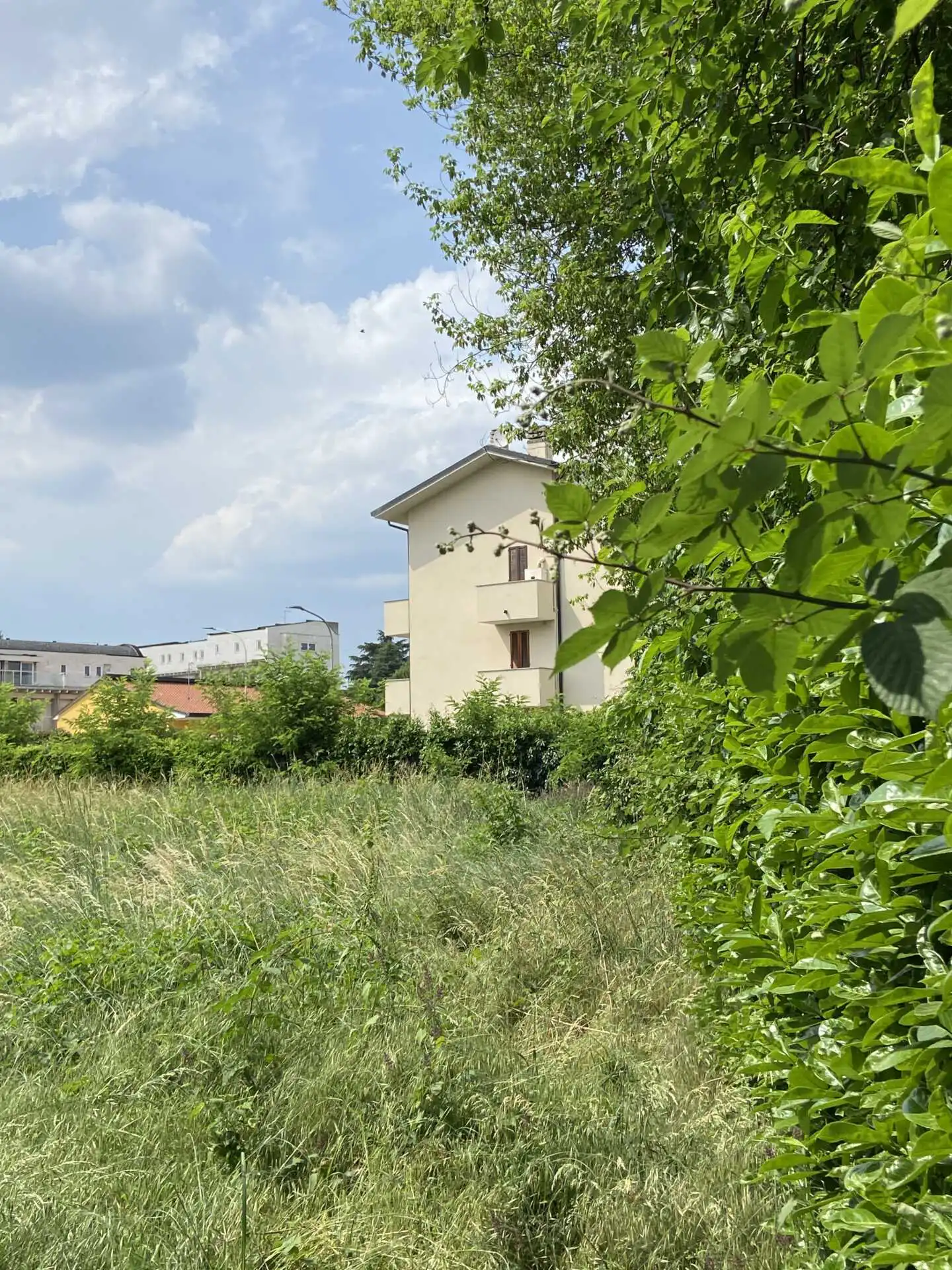 Terreno edificabile in vendita in Brianza a Cornate d'Adda (3)