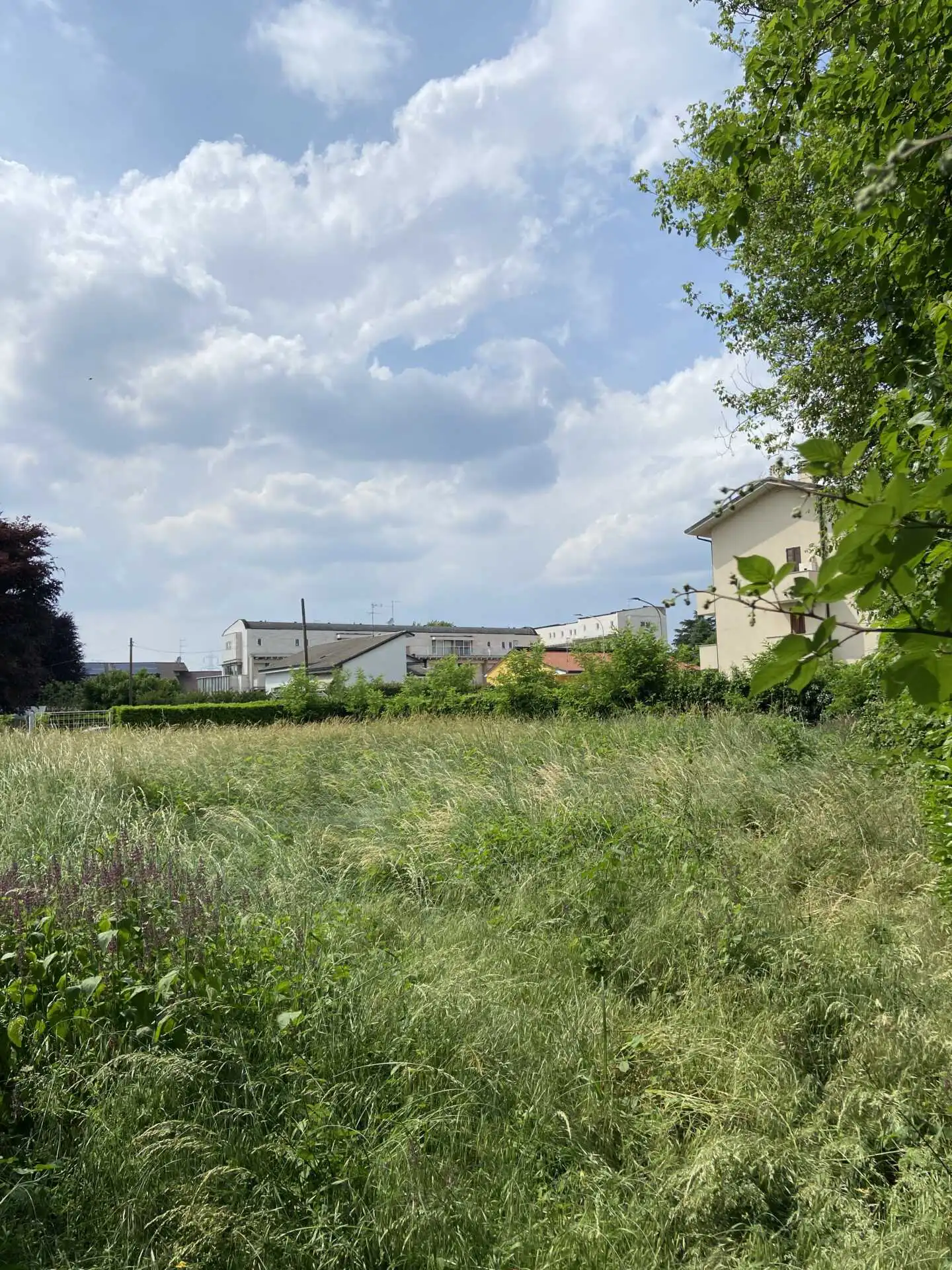 Terreno edificabile in vendita in Brianza a Cornate d'Adda (5)
