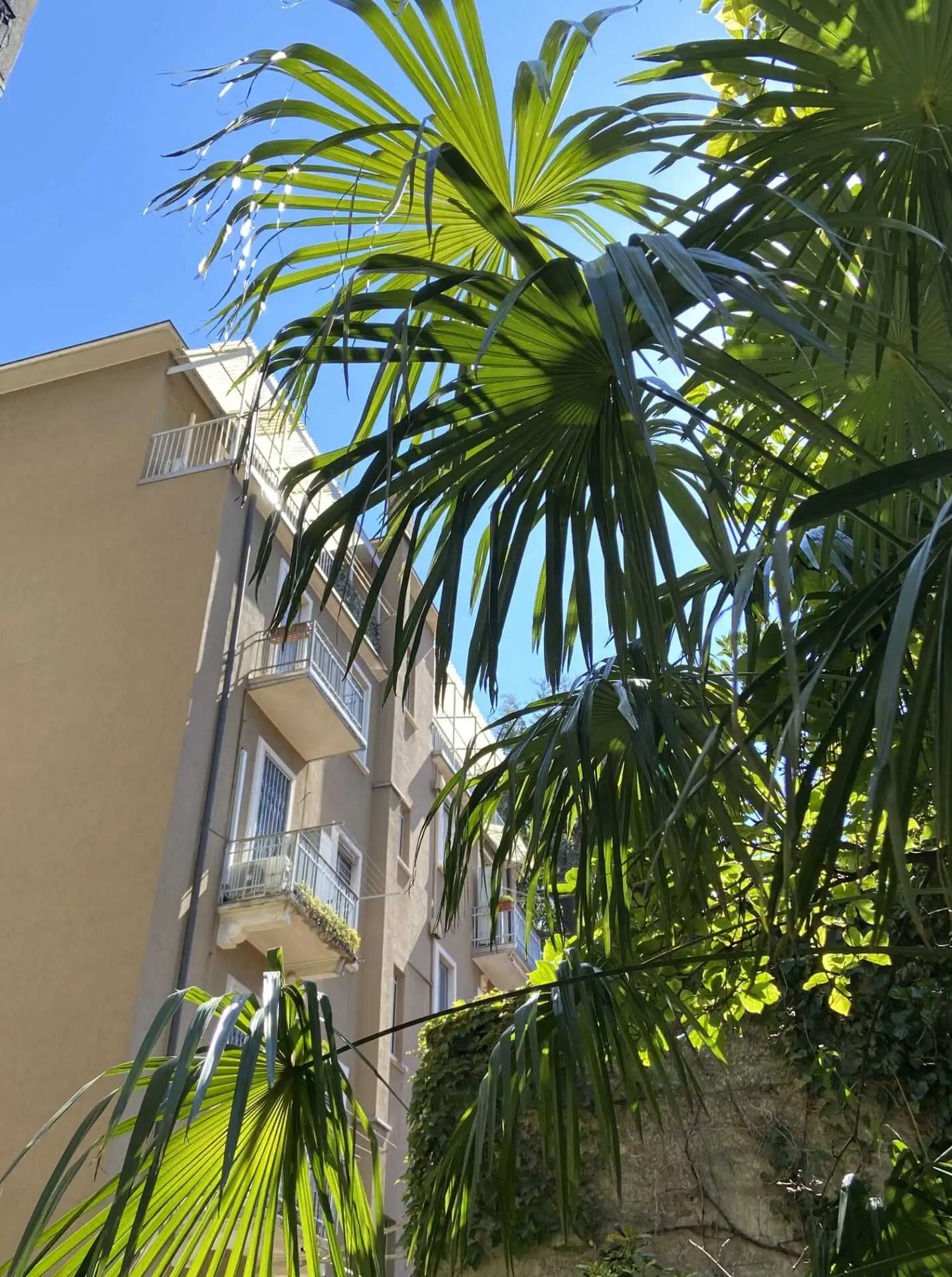 Milano appartamento ultimo piano in vendita (1)