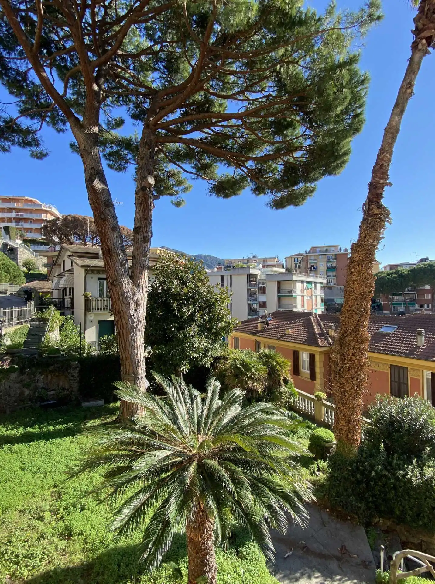 Villa in vendita a Rapallo con box e giardino (10)