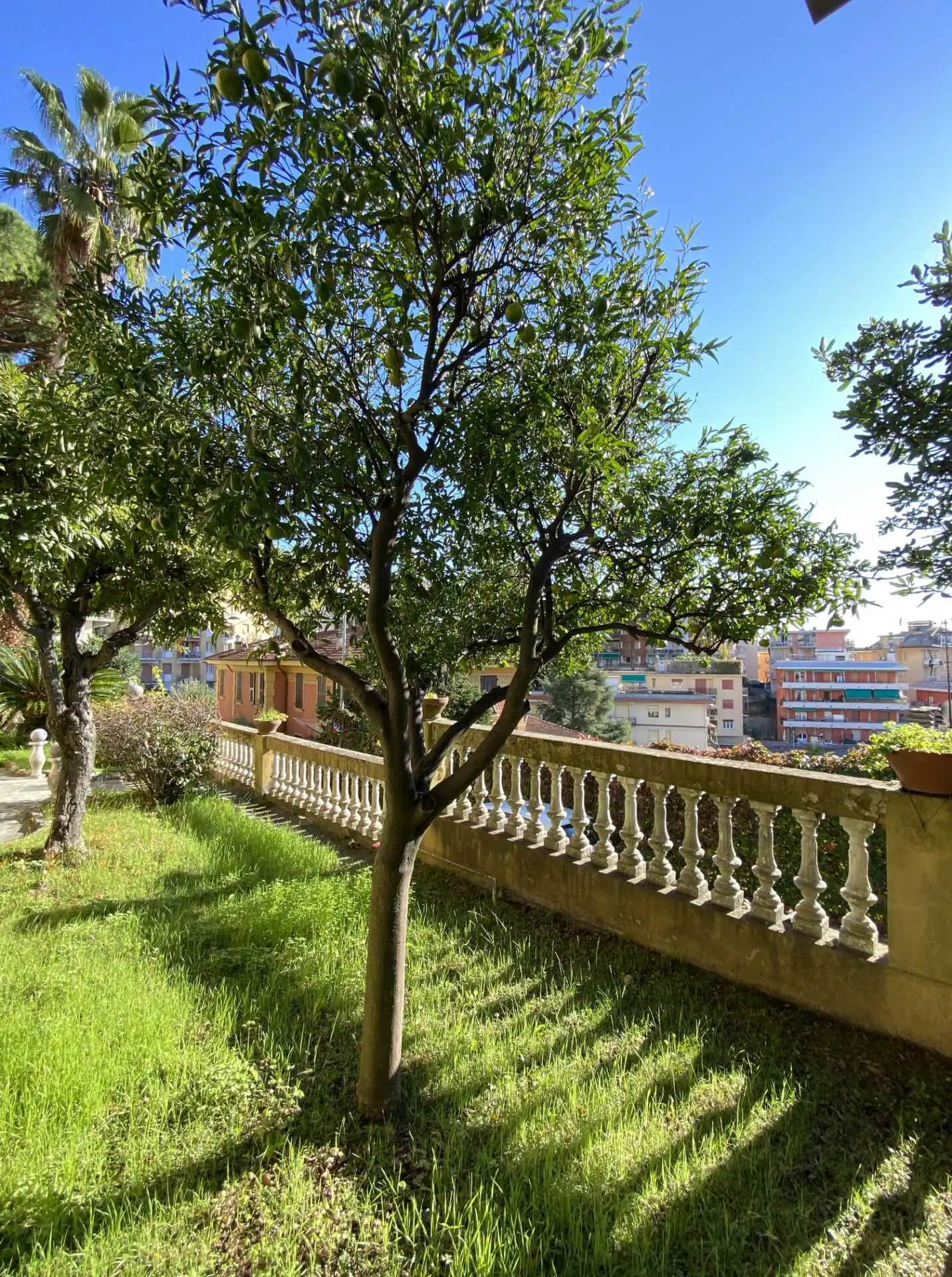 Villa in vendita a Rapallo con box e giardino (22)