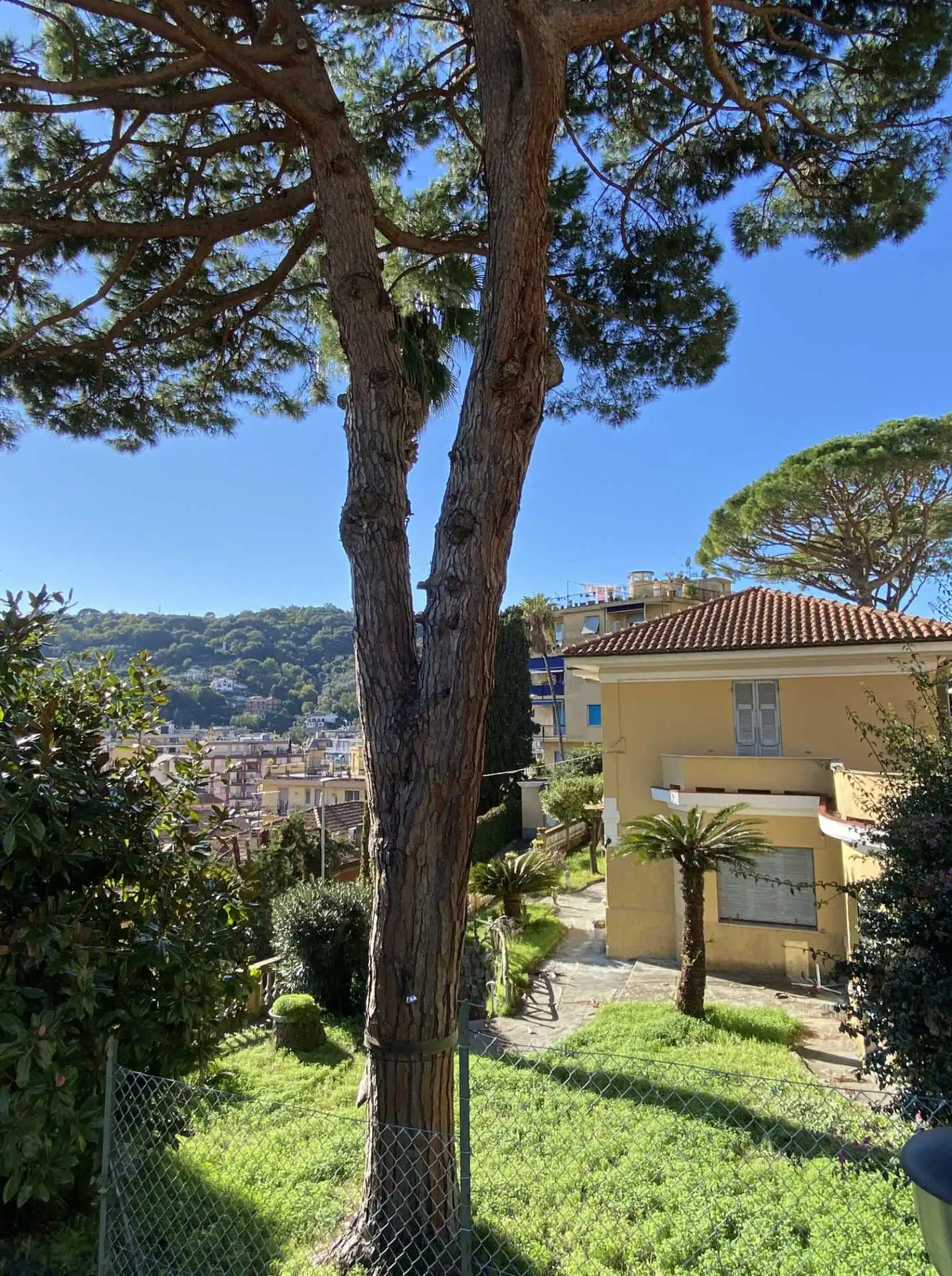 Villa in vendita a Rapallo con box e giardino (34)