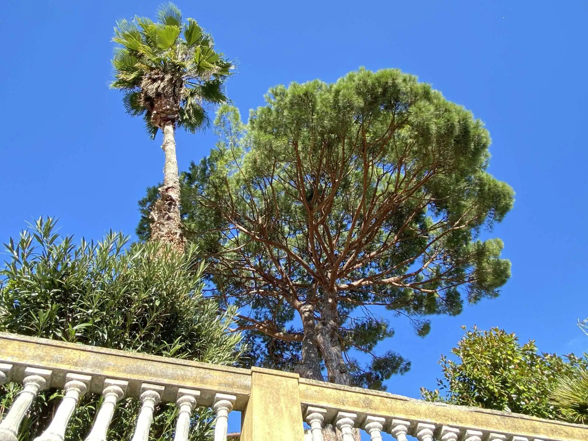 Villa in vendita a Rapallo con box e giardino (45)