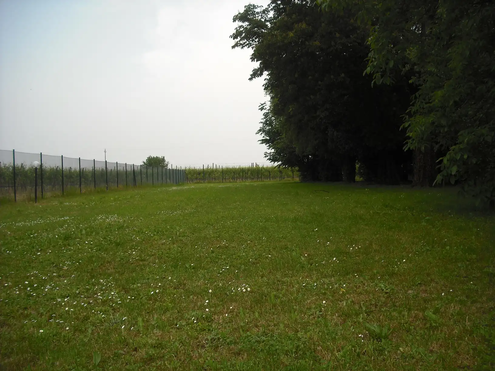 Villa d'epoca singola in vendita a Forlì (11)