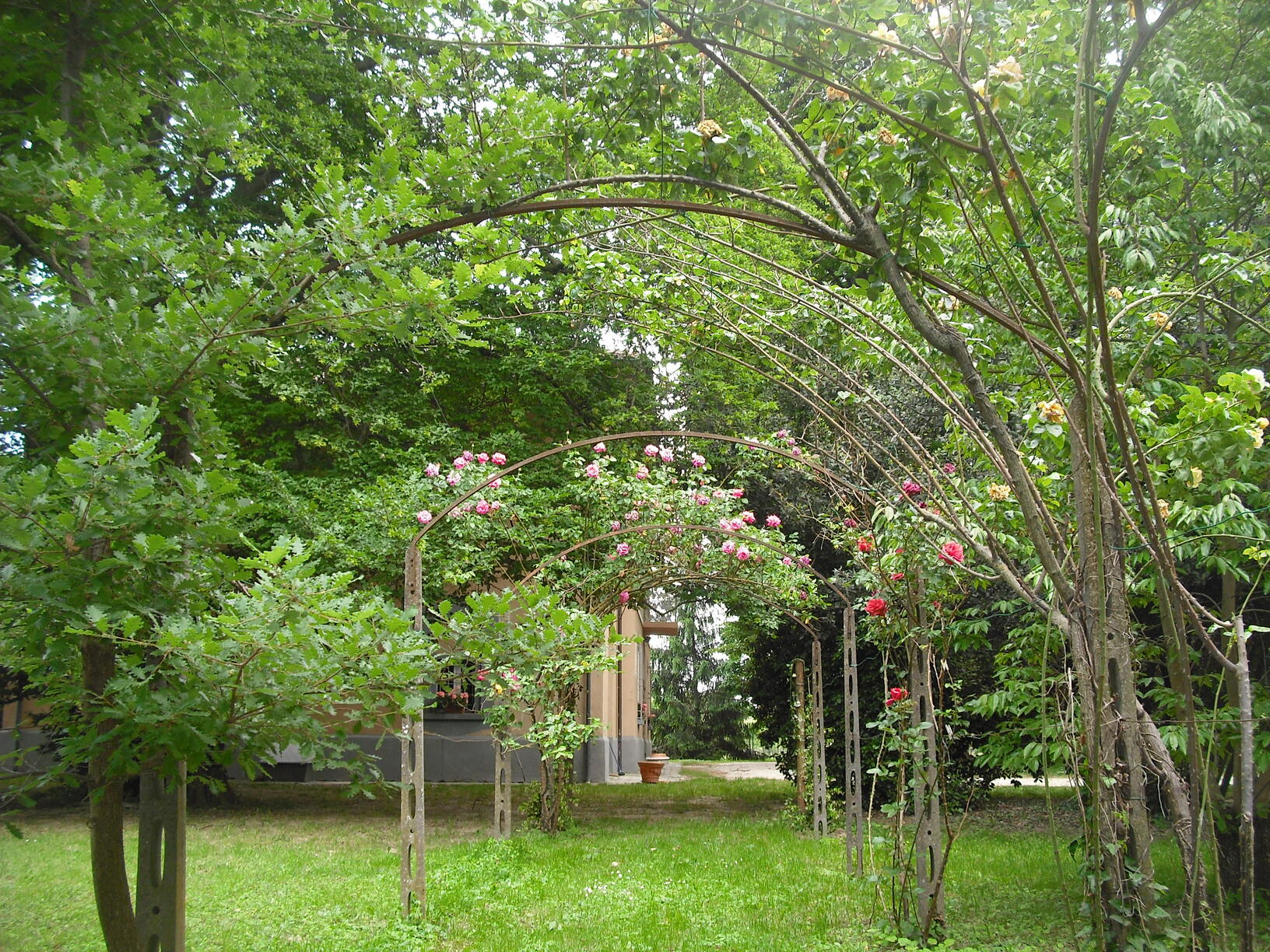 Villa d'epoca singola in vendita a Forlì (8)