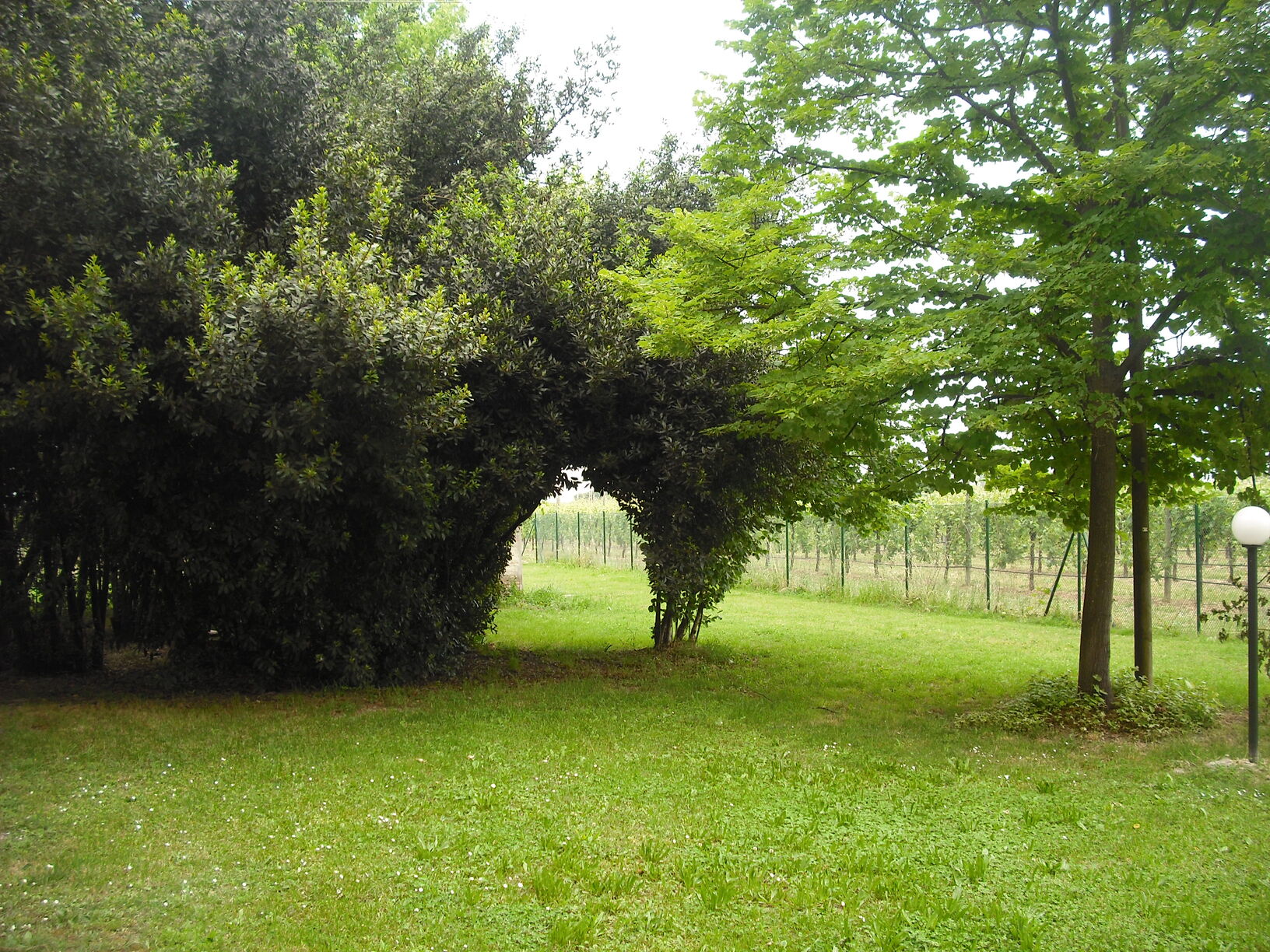Villa d'epoca singola in vendita a Forlì (9)
