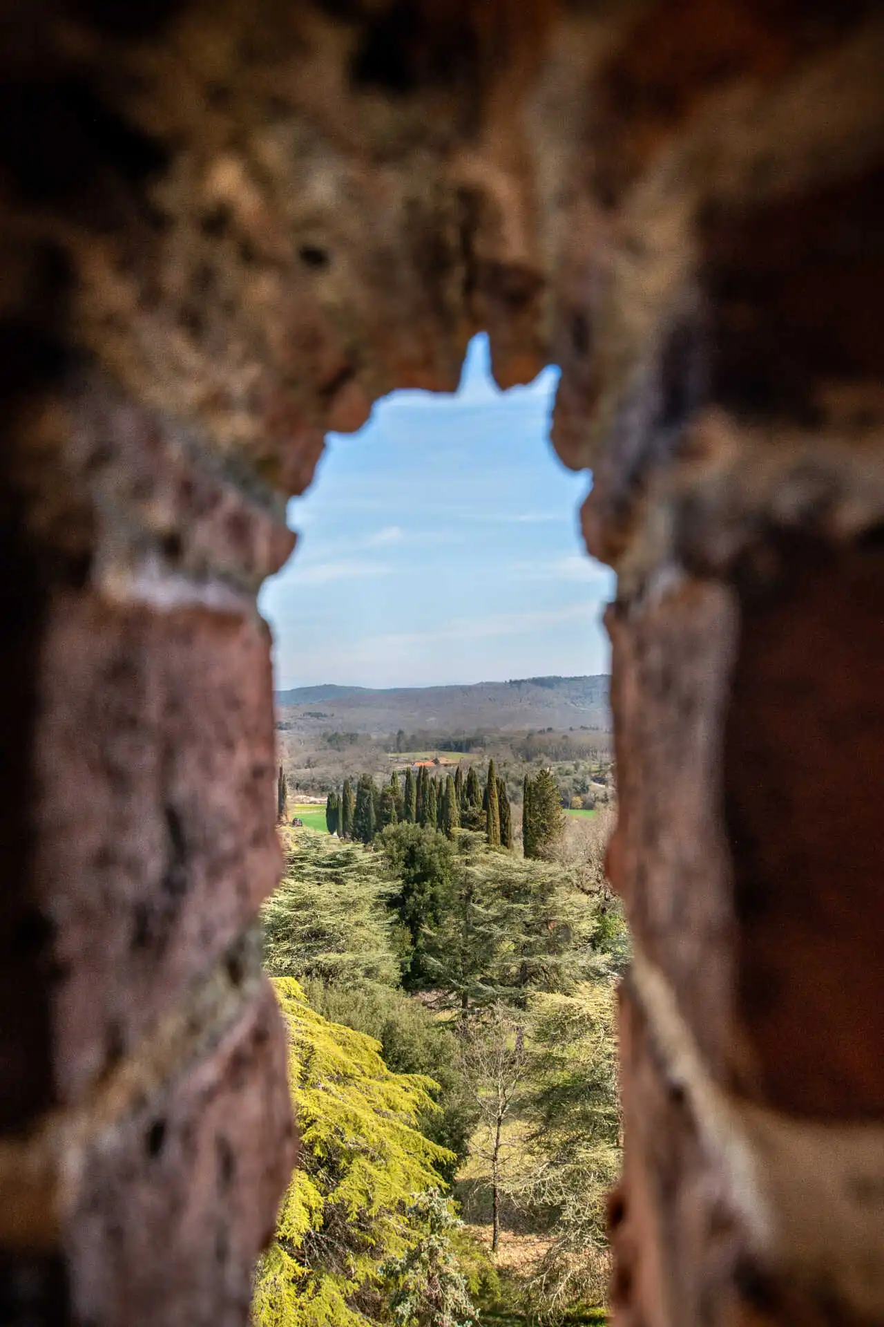 Villa in stile Castello neo-mediovale Arezzo Toscana (19)