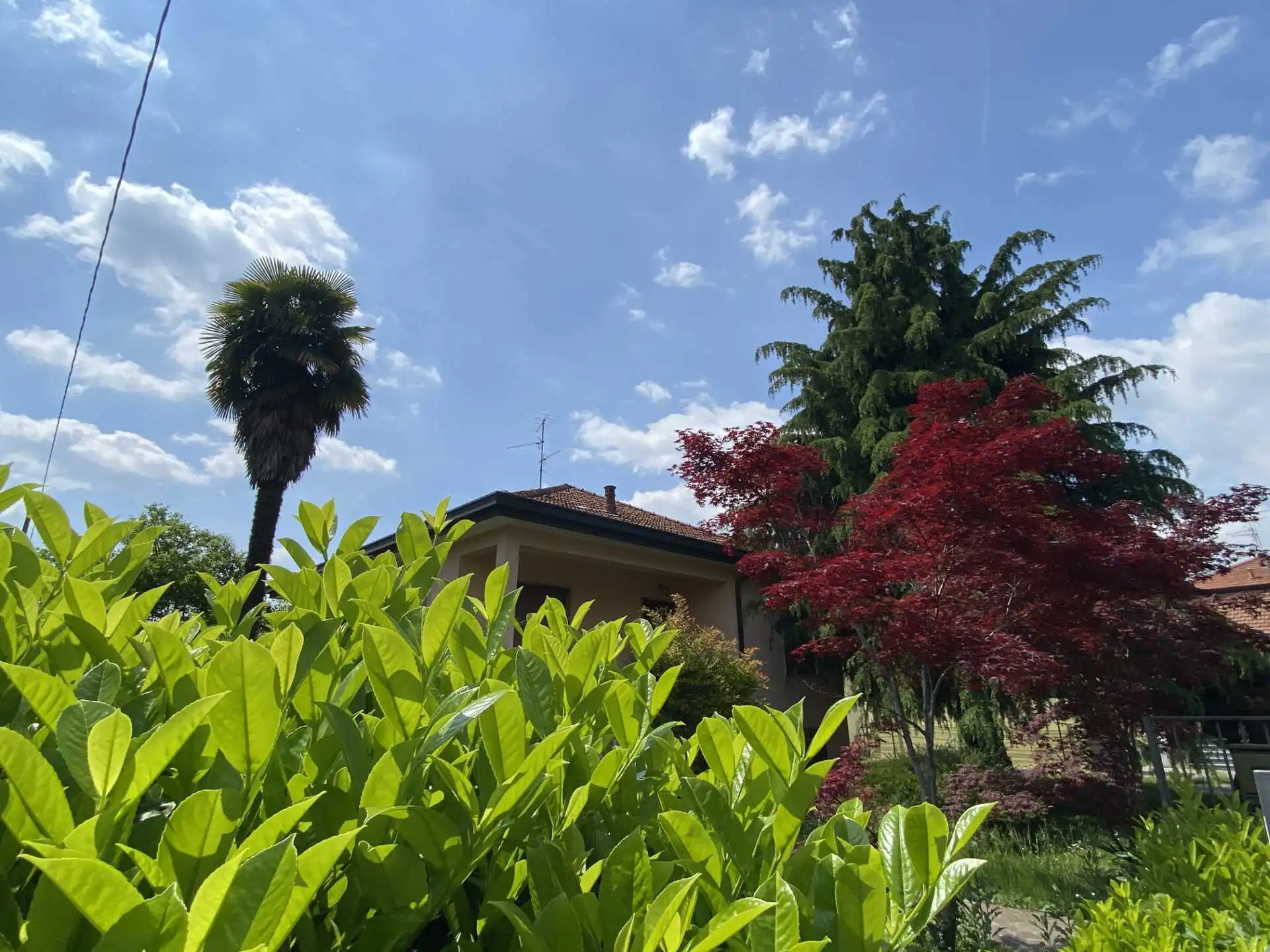 Villa singola in vendita a Bernareggio con terreno edificabile (9)