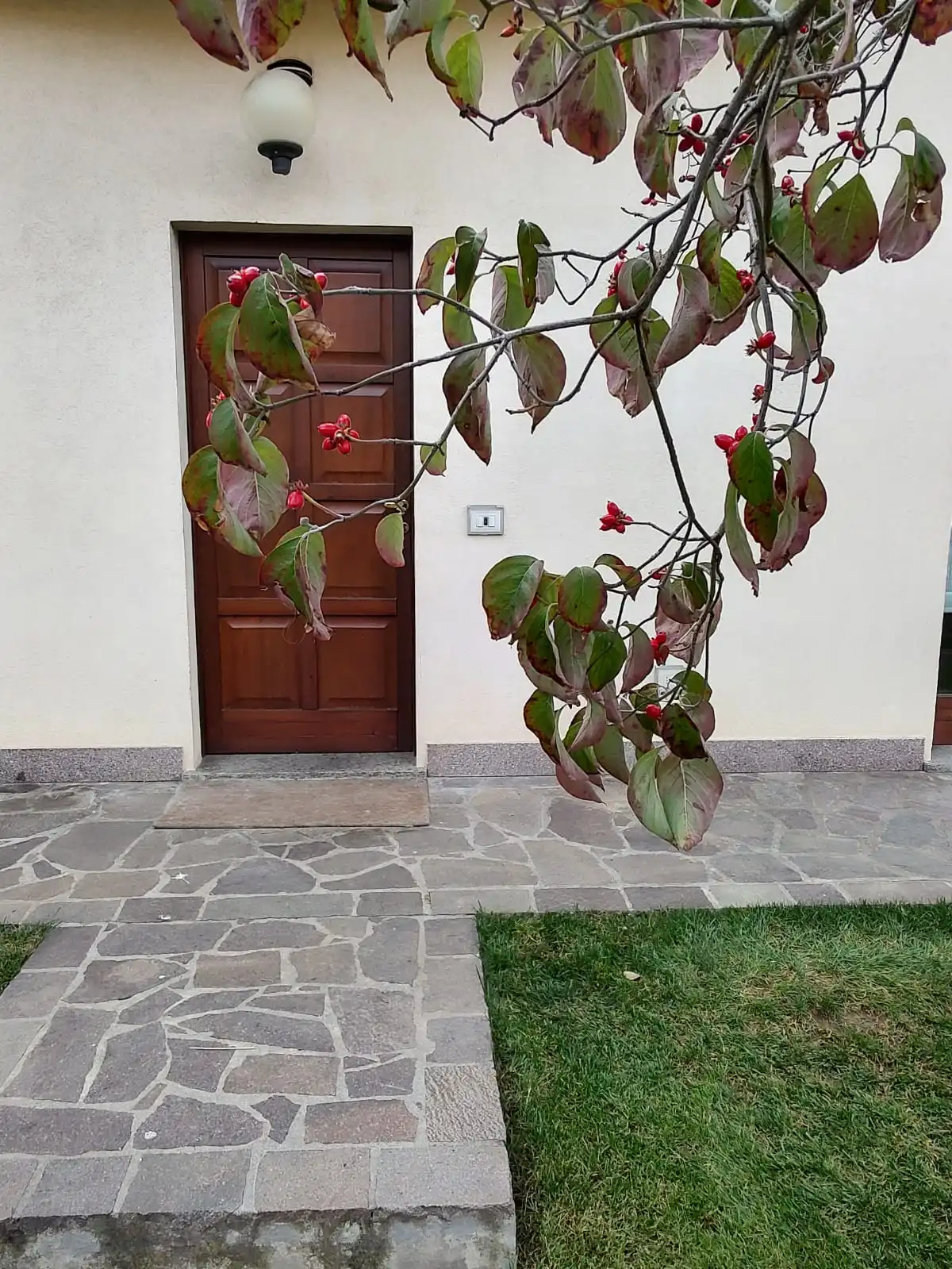 Villa in vendita a Carnate Monza Brianza casaestyle (2)