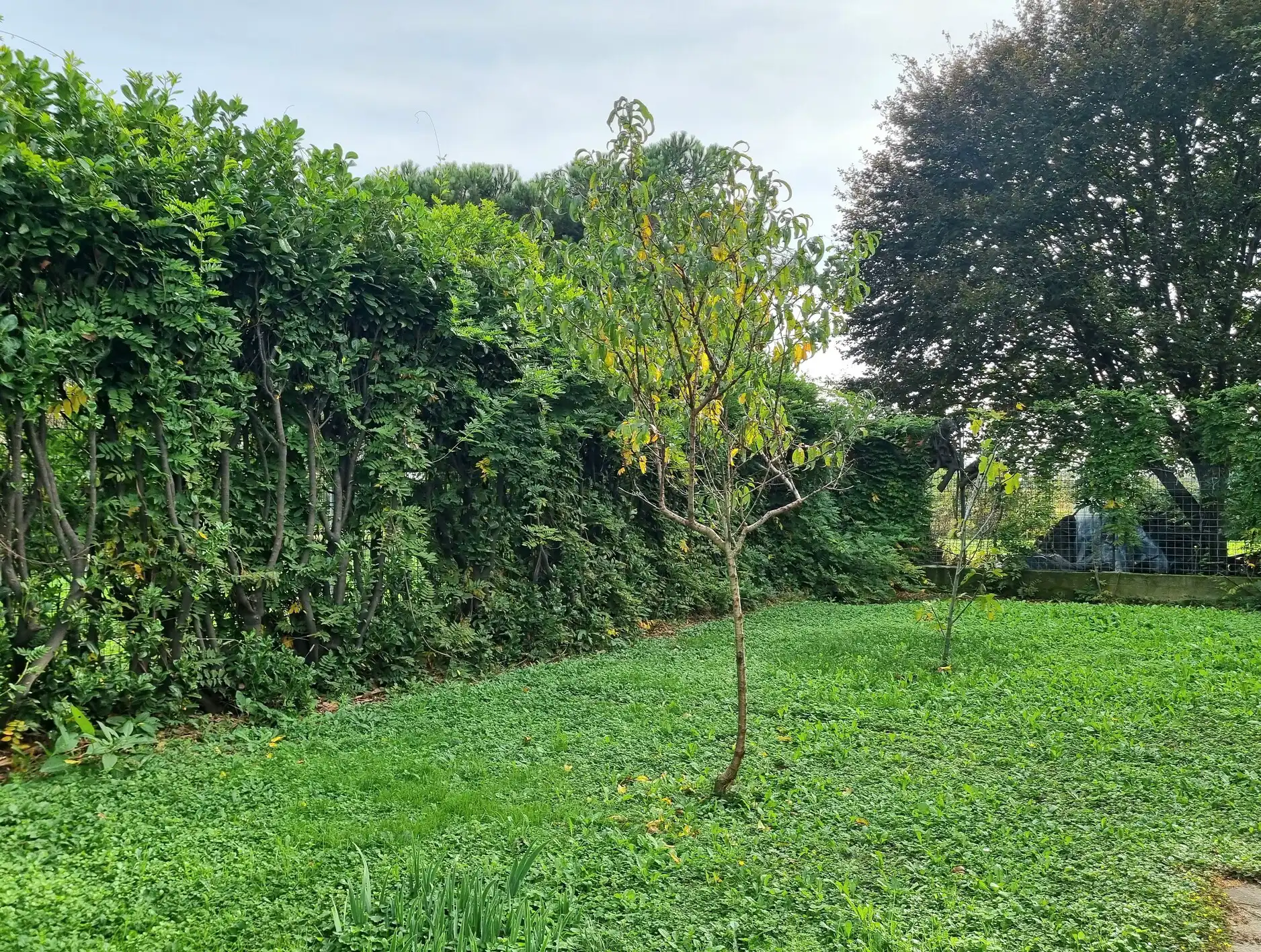 Villa Bifamiliare in Vendita a Busnago Via Europa 35 (17)