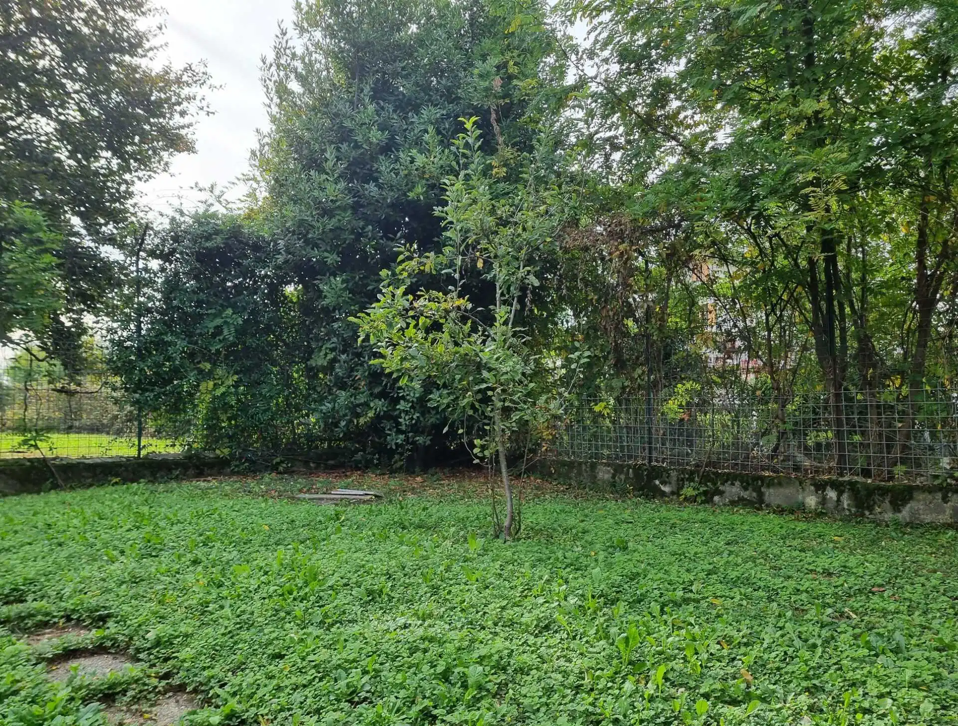Villa Bifamiliare in Vendita a Busnago Via Europa 35 (20)