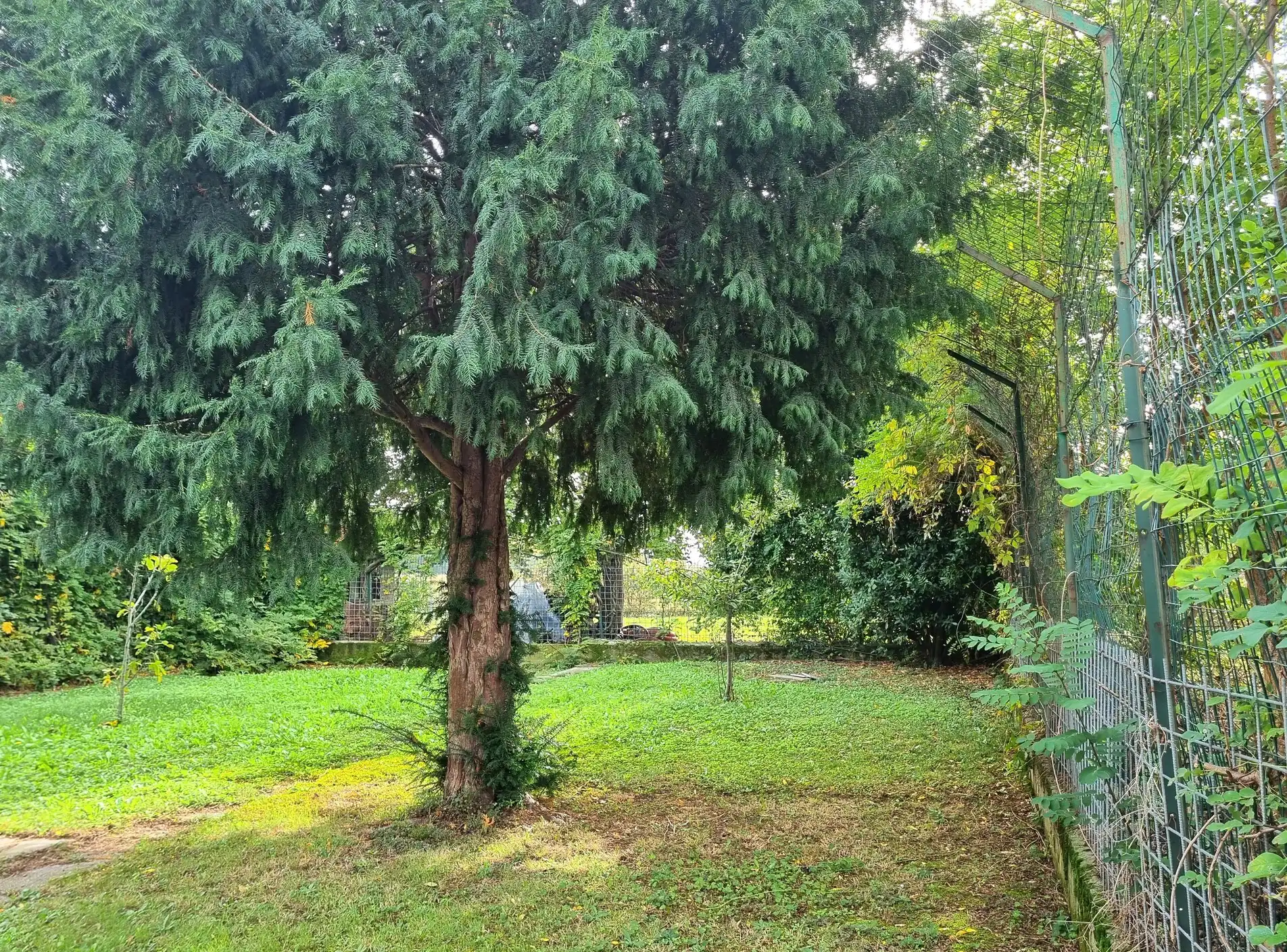 Villa Bifamiliare in Vendita a Busnago Via Europa 35 (22)