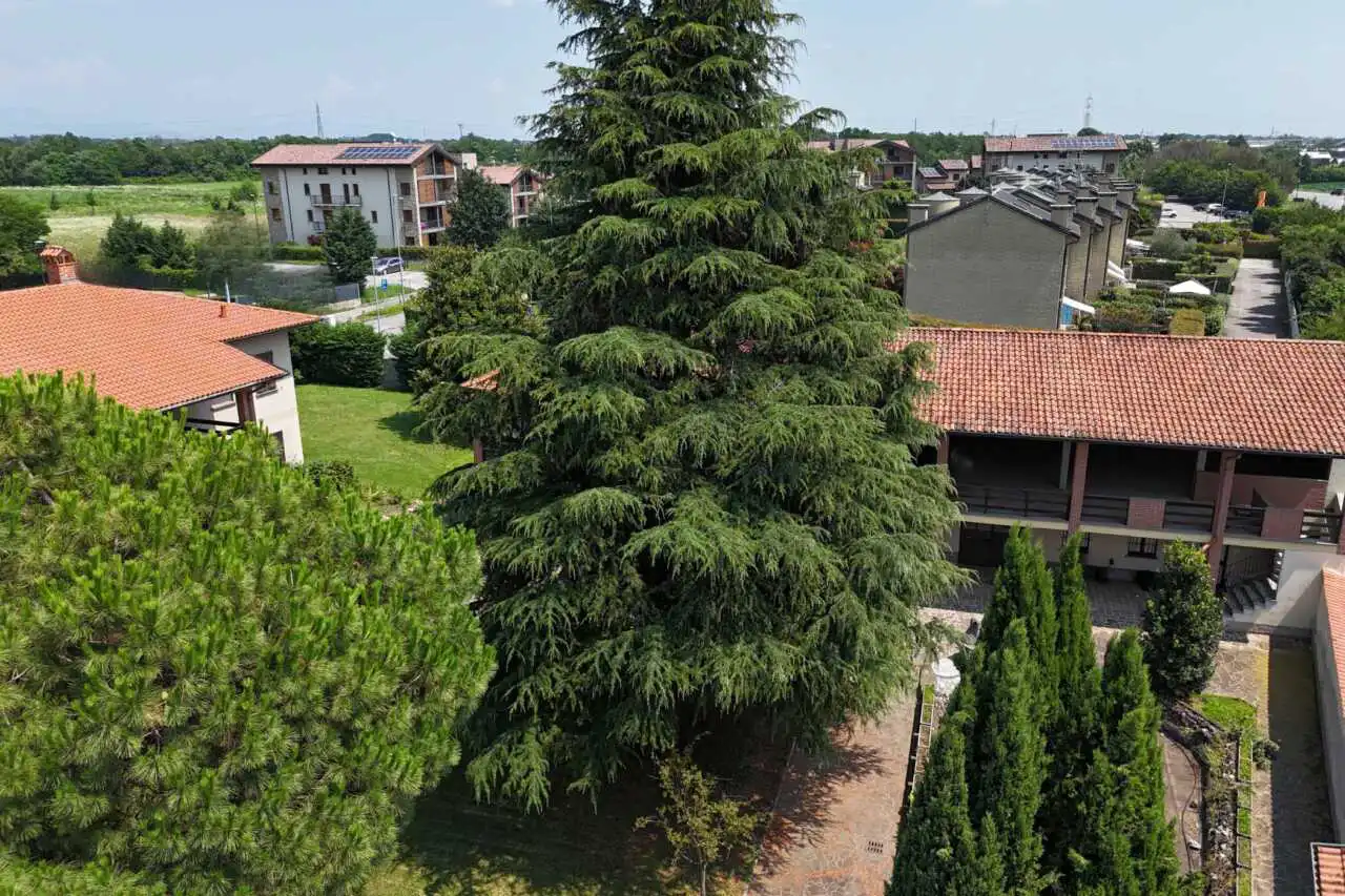 vendita-bellusco-palazzina-terra-cielo-agenzia-immobiliare-milano-brianza-casa&style (2)