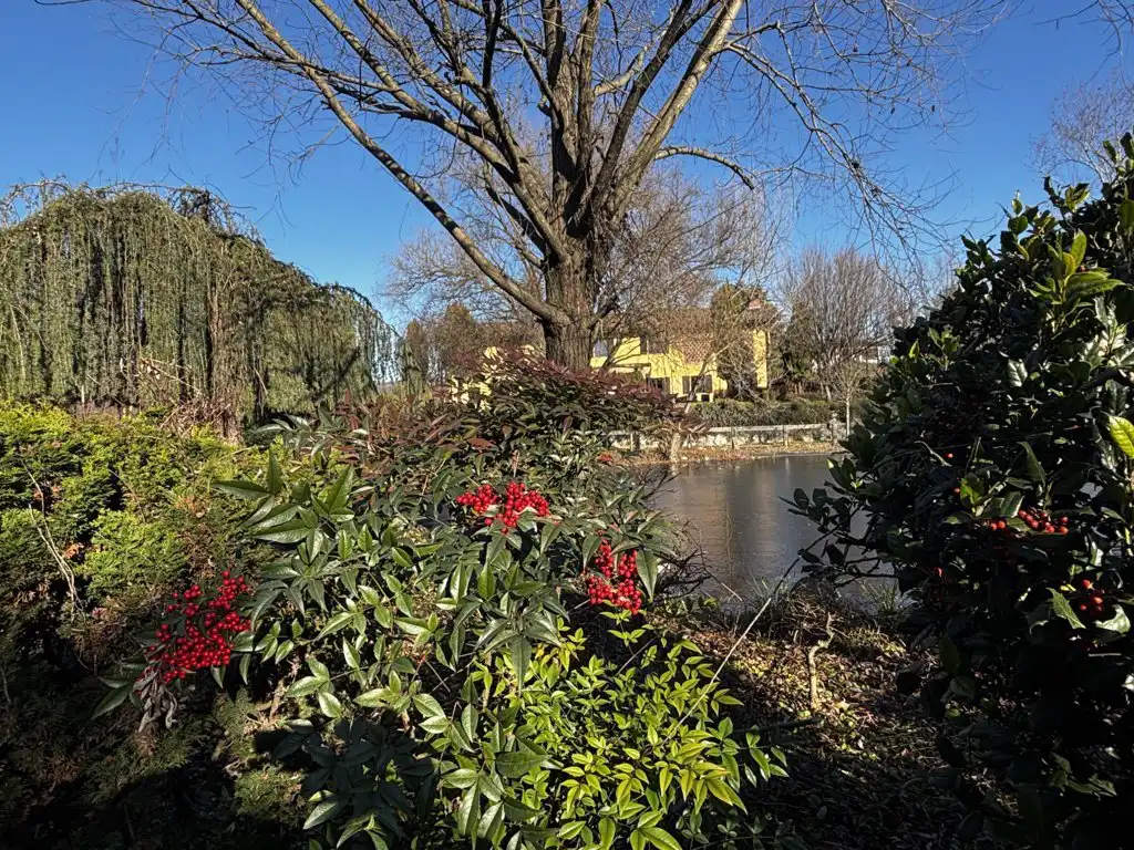 cascina-ristrutturata-in-vendita-a-osnago-lecco-brianza-agenzia-immobiliare-milano-e-brianza-casa&style-valutazioni-gratuite (31)