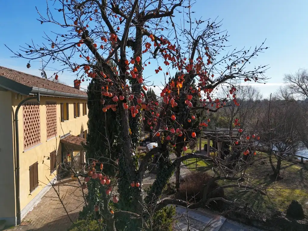 cascina-ristrutturata-in-vendita-a-osnago-lecco-brianza-agenzia-immobiliare-milano-e-brianza-casa&style-valutazioni-gratuite (9)